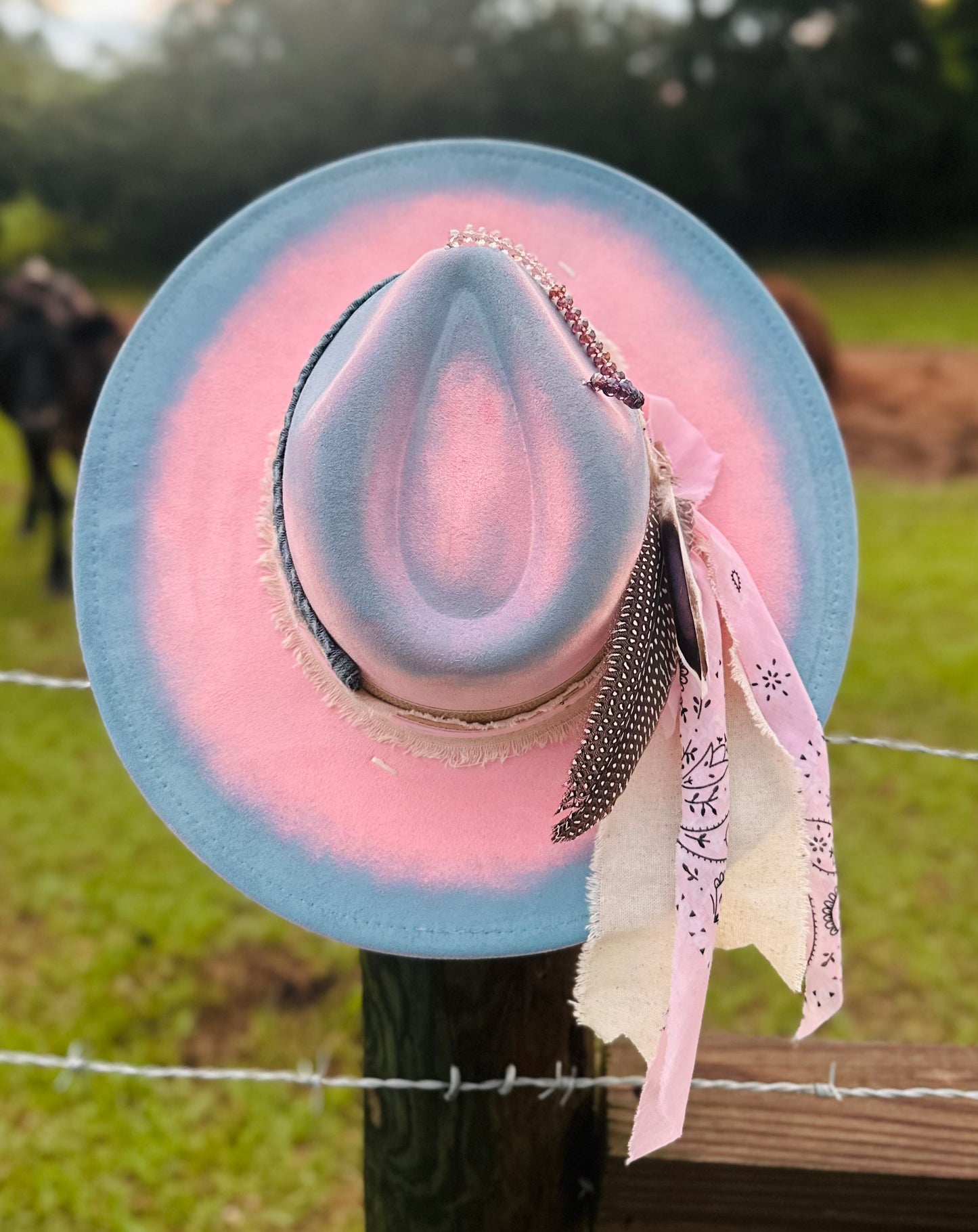 Cotton Candy Cowgirl - Paint Distressed Large Brim Suede Hat