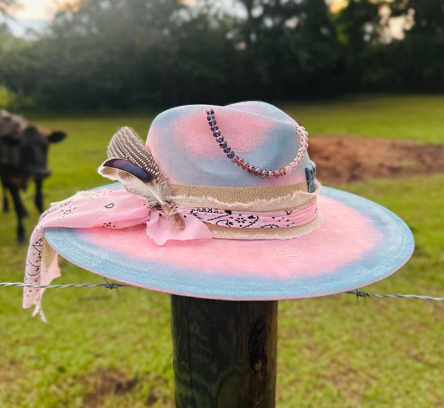 Cotton Candy Cowgirl - Paint Distressed Large Brim Suede Hat